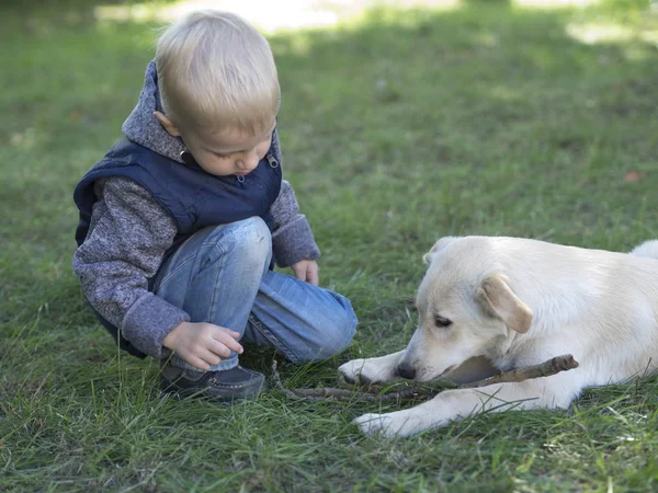 Caucasian with dog — Stock Photo, Image