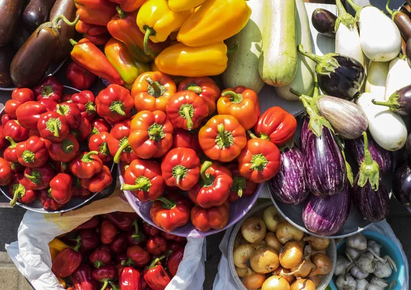 Récolte de légumes frais — Photo