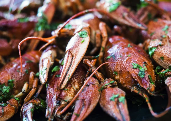 Ωραία βρασμένο crayfishes — Φωτογραφία Αρχείου