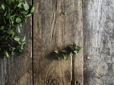 Taze nane yaprakları