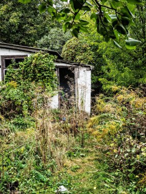 terk edilmiş bir evde