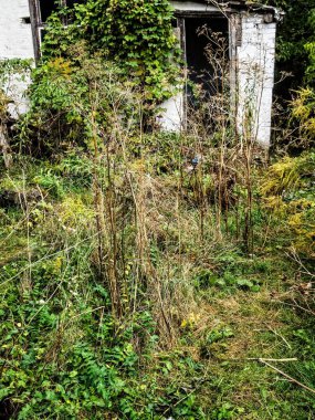 terk edilmiş bir evde