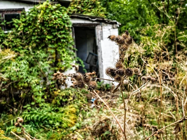 Terk edilmiş bir evde — Stok fotoğraf