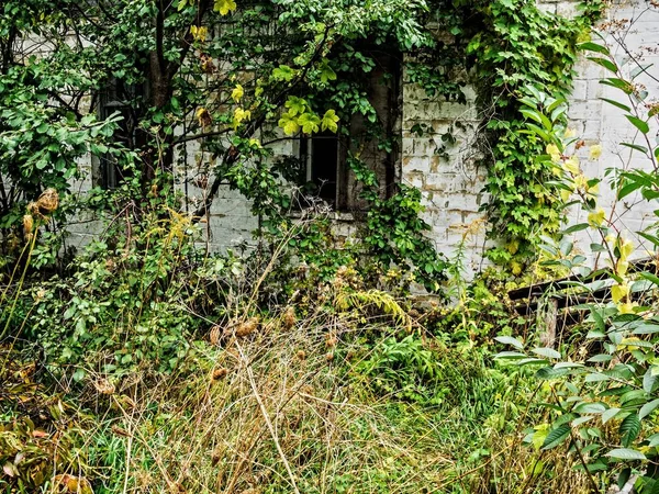 Uma casa abandonada — Fotografia de Stock