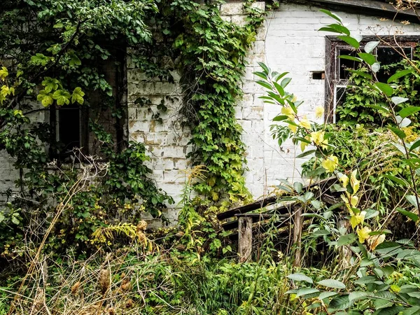 terk edilmiş bir evde