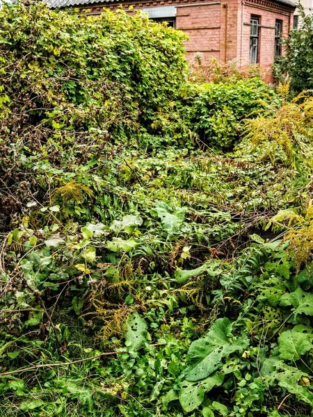 terk edilmiş bir evde