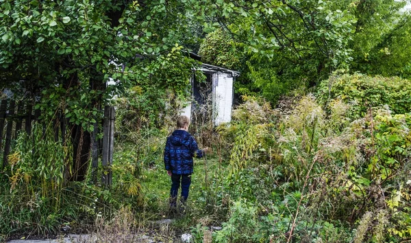 An abandoned house — Zdjęcie stockowe