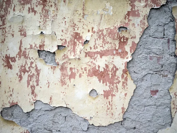 Ściana ze skórką gipsową — Zdjęcie stockowe
