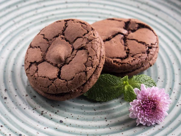 Brookies (Brownie koekjes) — Stockfoto