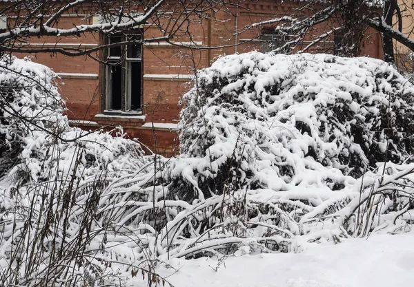 Casa nevada abandonada — Foto de Stock