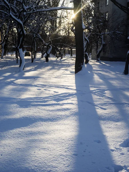 Giornata di sole invernale — Foto Stock