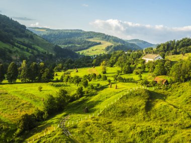 Parlak haddeleme kırsal
