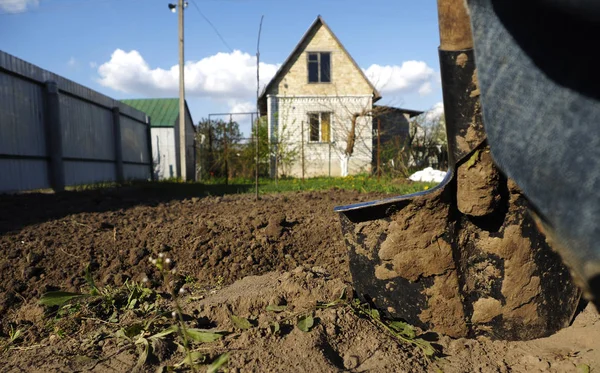 Giardiniere scavare con pala da giardino — Foto Stock