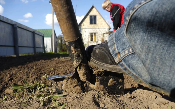 Tuinman met tuin spade graven — Stockfoto