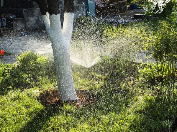 Sistema automatico di irrigazione — Foto Stock