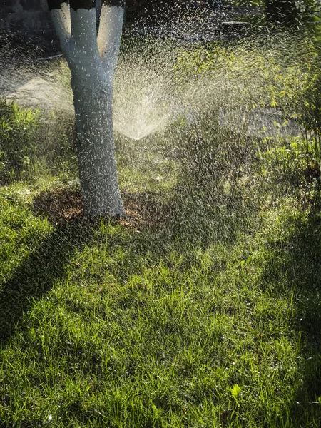 Sistema automatico di irrigazione — Foto Stock