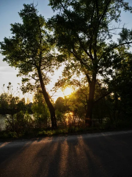 Sole Che Tramonta Tranquillo Lago Tra Alberi — Foto Stock