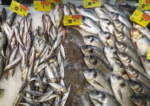 Различные свежие морские рыбки на прилавке на рыбном рынке — стоковое фото