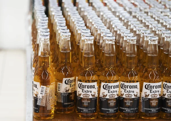 Bottles Corona Beer Shelf Store — Stock Photo, Image