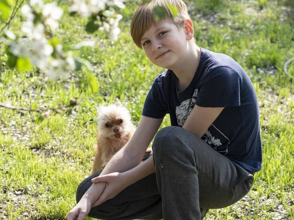 Covid 19コロナウイルスのパンデミックの間に庭で犬と白人の公正な髪の少年の遊び — ストック写真