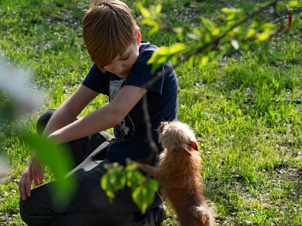 Covid 19コロナウイルスのパンデミックの間に庭で犬と白人の公正な髪の少年の遊び — ストック写真