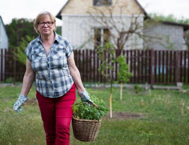 Bir kır evinin bahçesinde elinde domates tohumu dolu bir sepet tutan Kafkasyalı kadın.