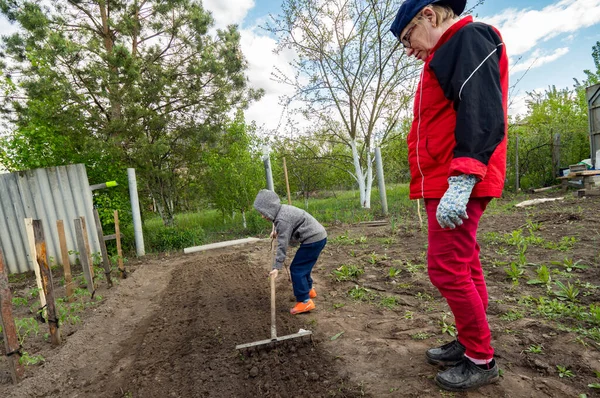 Caucasian Boy Rakes Ground Garden Bed His Grandmother Watches Him — Stock Photo, Image