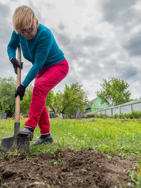 Senior Caucasian Woman Digs Garden Bed — Stock Photo, Image