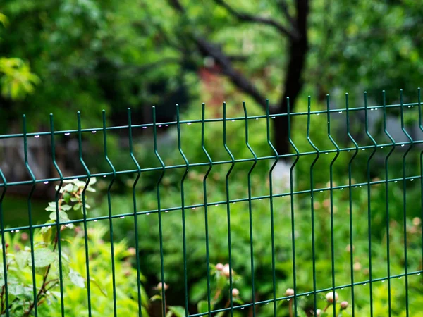 Μεταλλικός Φράχτης Κήπου — Φωτογραφία Αρχείου