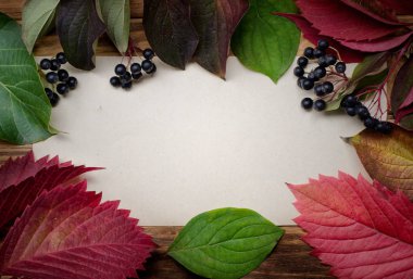 Renkli yapraklı sonbahar arkaplanı