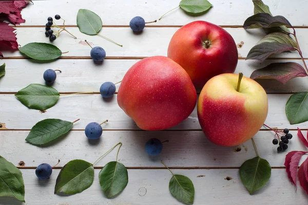 Tři červená jablka — Stock fotografie