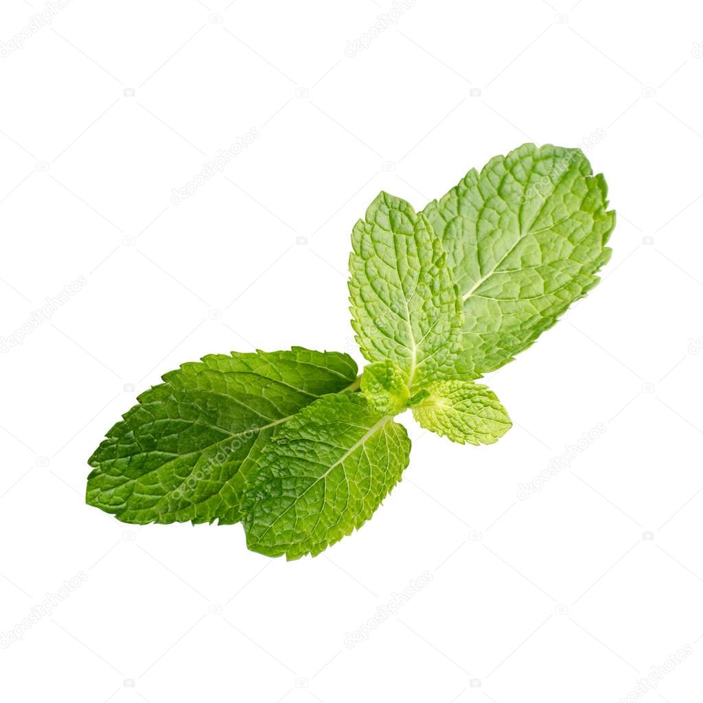 ottoshtekker