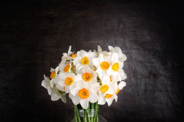 Beyaz nergis bir buket