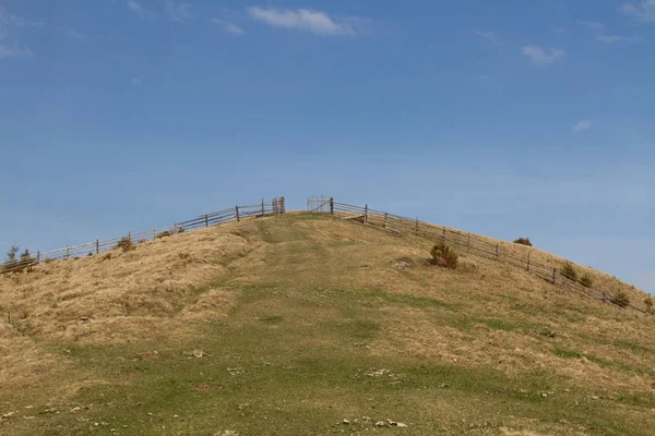 Carpathion 山の草原 — ストック写真