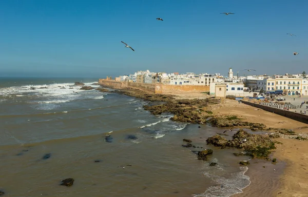 Gaviotas sobre la ciudad vieja de Essaouira, Marruecos — Foto de Stock