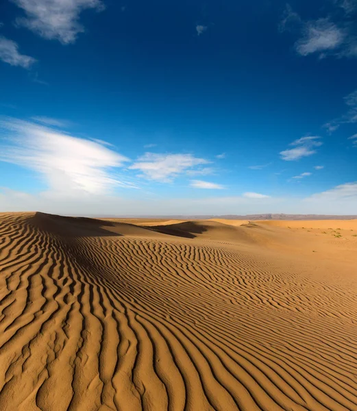 Landscape in evening desert — Stock Photo, Image