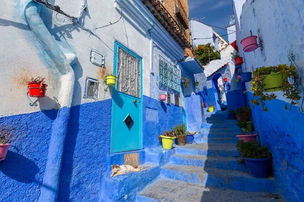 Голубая улица с цветными горшками в Chefchaouen — стоковое фото