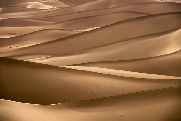 Arrière-plan avec des dunes de sable dans le désert — Photo