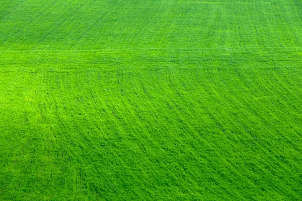 Vista aérea no domínio da agricultura verde — Fotografia de Stock