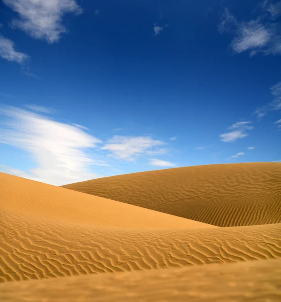 Paisaje en el desierto de la tarde — Foto de Stock