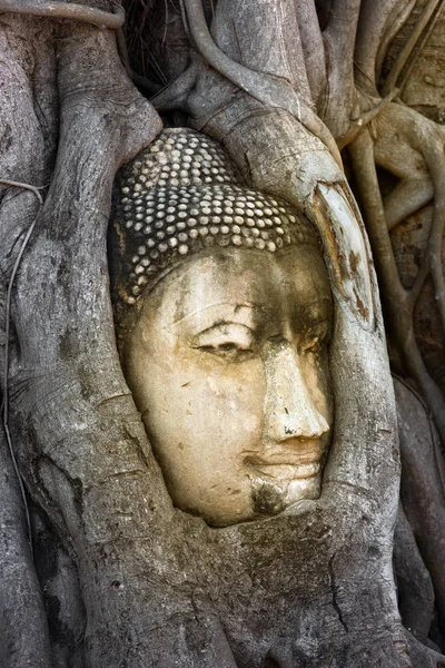 Buddha Head Embedded Banyan Tree Wat Mahathat Maha Ayutthaya Thailand — Stock Photo, Image