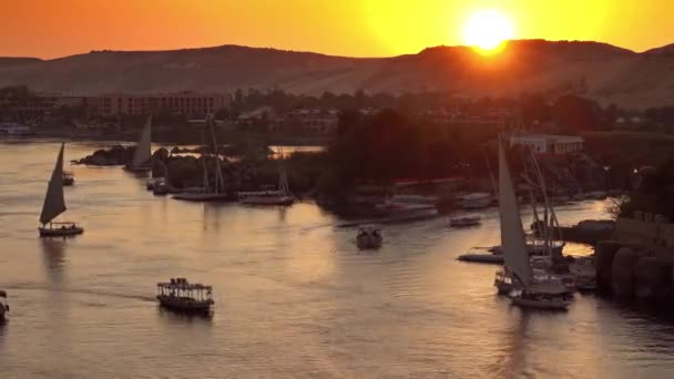 Καΐκια felucca στον ποταμό Νείλο στο Ασουάν το ηλιοβασίλεμα — Αρχείο Βίντεο