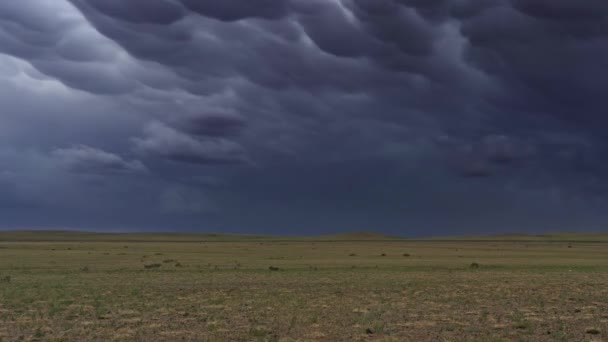 Mammatus nuvole sopra steppa timelapse — Video Stock