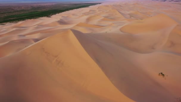 Flygfoto över sanddyner i öknen vid solnedgången — Stockvideo