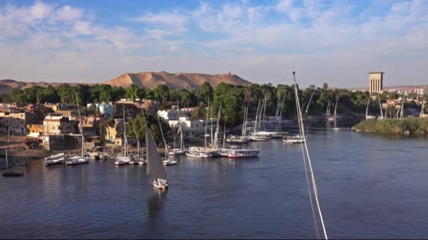 Felucca hajók a Nílus folyó Aswan Egyiptom — Stock videók