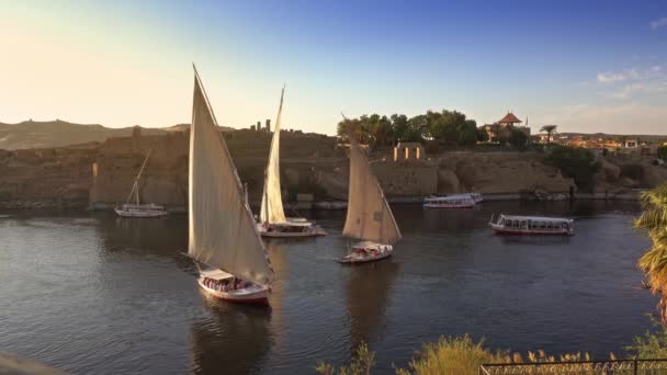 Aswan Mısır 'da Nil nehrindeki felucca tekneleri — Stok video