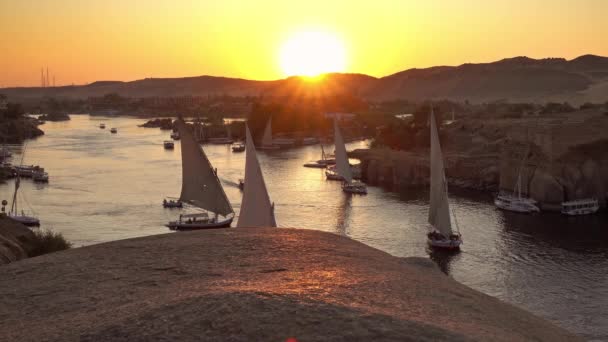 Felucca-Boote auf dem Nil in Assuan bei Sonnenuntergang — Stockvideo