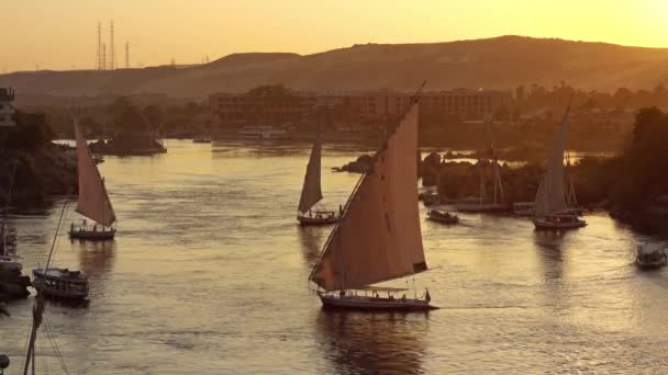 Günbatımında Aswan 'da Nil Nehri' ndeki felucca tekneleri — Stok video