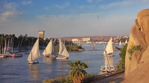 Aswan Mısır 'da Nil nehrindeki felucca tekneleri — Stok video