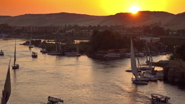 Günbatımında Aswan 'da Nil Nehri' ndeki felucca tekneleri — Stok video